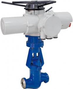 Power Station Globe Valve