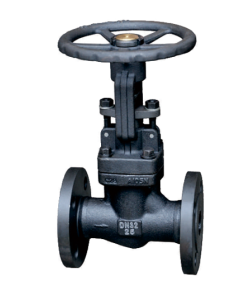 Forged Steel Globe Valve