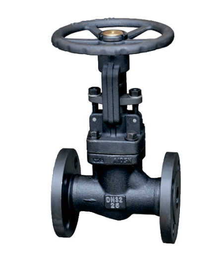 Forged Steel Globe Valve